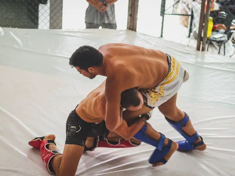 MMA fighter using wrestling in MMA