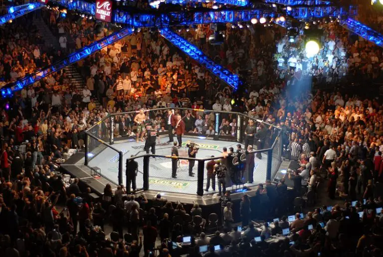 UFC Octagon