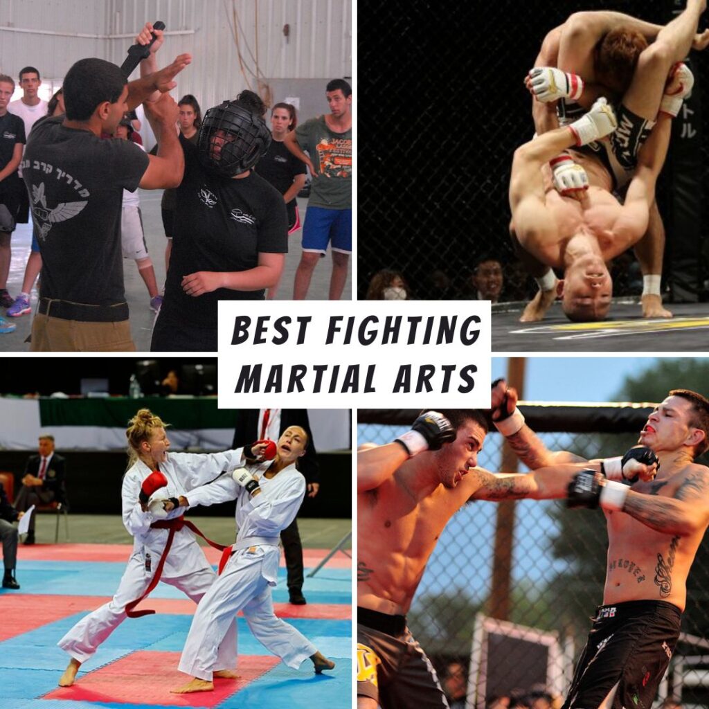 best fighting martial arts